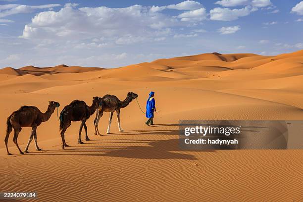 young tuareg with camels on western sahara desert in africa - desierto del sáhara del oeste fotografías e imágenes de stock