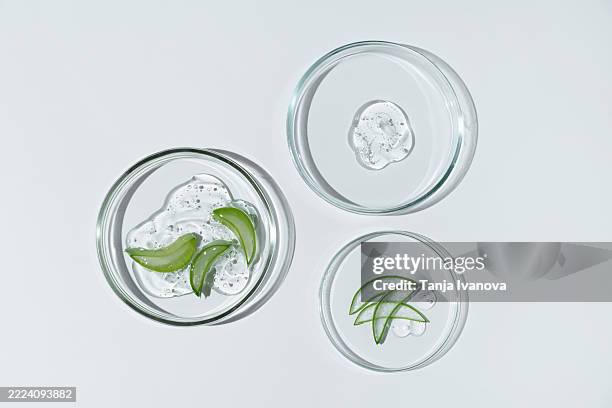 petri dishes with smear of cosmetic gel and aloe vera plant on white background. concept of chemical laboratory research of cosmetics. natural medicine, cosmetic research, organic beauty products. - probe stock-fotos und bilder