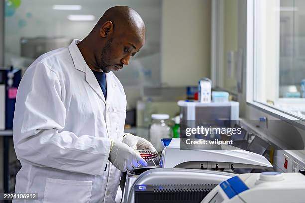 laboratory technician examining samples within a modern bioscience research laboratory - dna test stock pictures, royalty-free photos & images