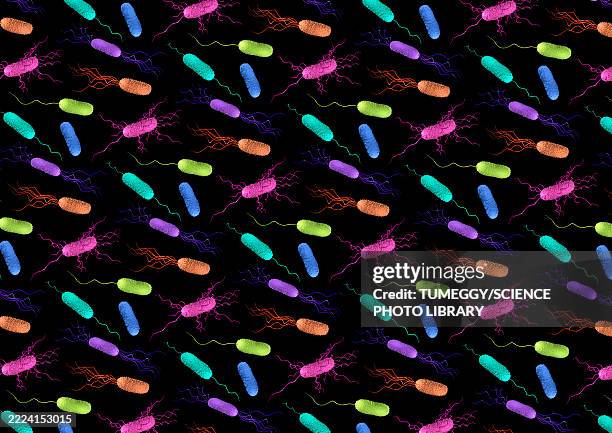 bacteria, illustration - amphitrichous stock illustrations