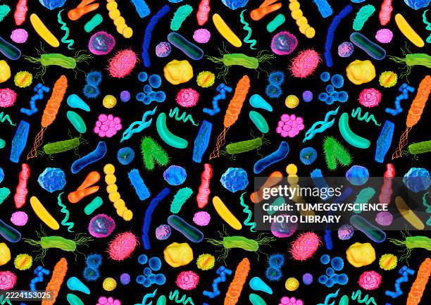 various bacteria, conceptual illustration - lophotrichous stock illustrations