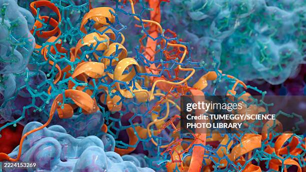 Protein Overview 1,377 3d Protein Structure Stock Photos, High-Res Pictures, and Images ...
