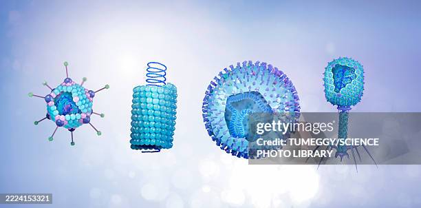 different virus shapes, illustration - capsid stock illustrations