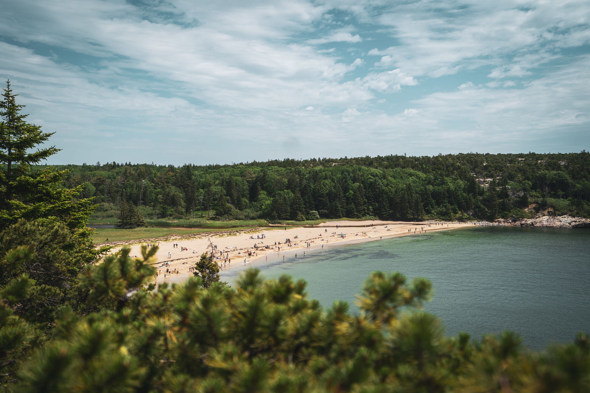 bar harbor coast