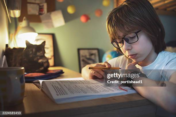 a student does homework in the company of his beloved cat - schoolboy stock pictures, royalty-free photos & images