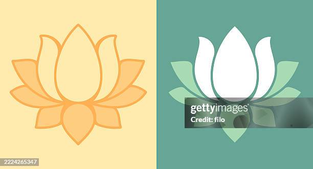 water lily lotus flower - lotus flower stock illustrations