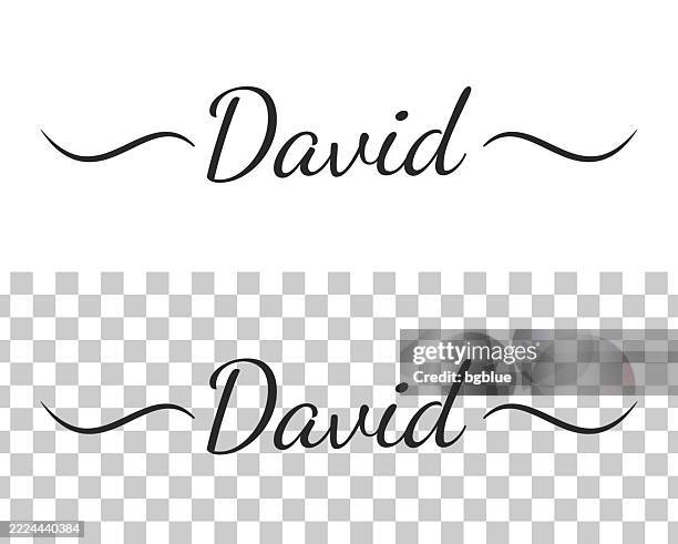 Fancy Lettering David David Male Name Calligraphy Text With Swashes On Blank Background High ...