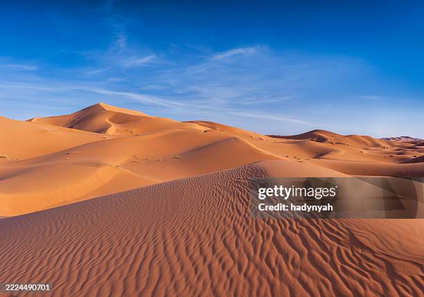 western sahara desert in africa - western sahara desert stock pictures, royalty-free photos & images