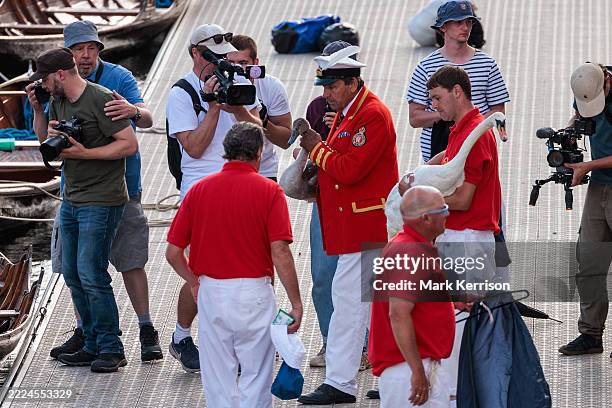 The King's Swan Marker David Barber prepares to release a cygnet and its mother back into the River Thames on the first day of the annual five-day...