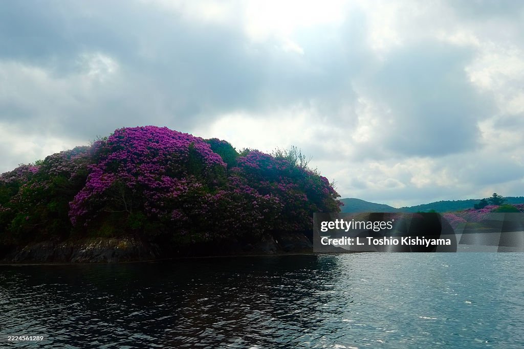 Beautiful landscape in Ireland