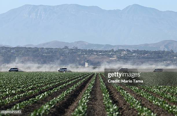 Vans reportedly carrying detainees depart from an ICE immigration raid at a nearby licensed cannabis farm on July 10, 2025 near Camarillo,...
