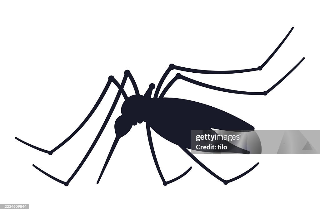 Mosquito Silhouette Icon Symbol