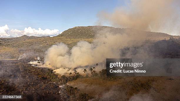 savanna wildfire aerial view - biodiversidad fotografías e imágenes de stock
