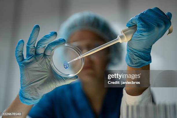 woman technician in medical laboratory. - vetenskaplig forskning bildbanksfoton och bilder