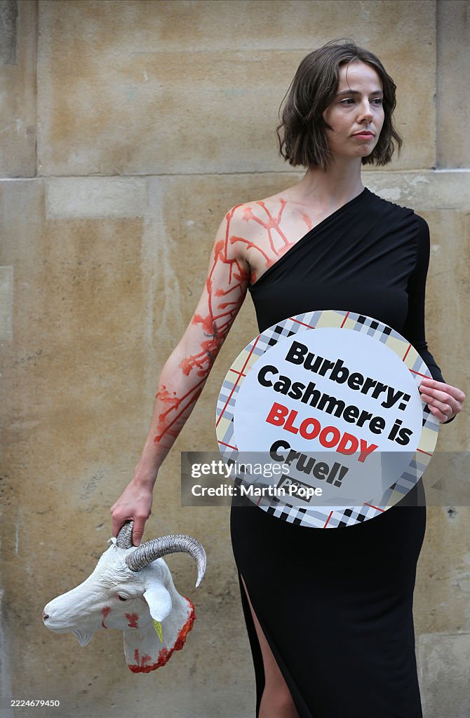 PETA Protest Against Burberry Using Cashmere