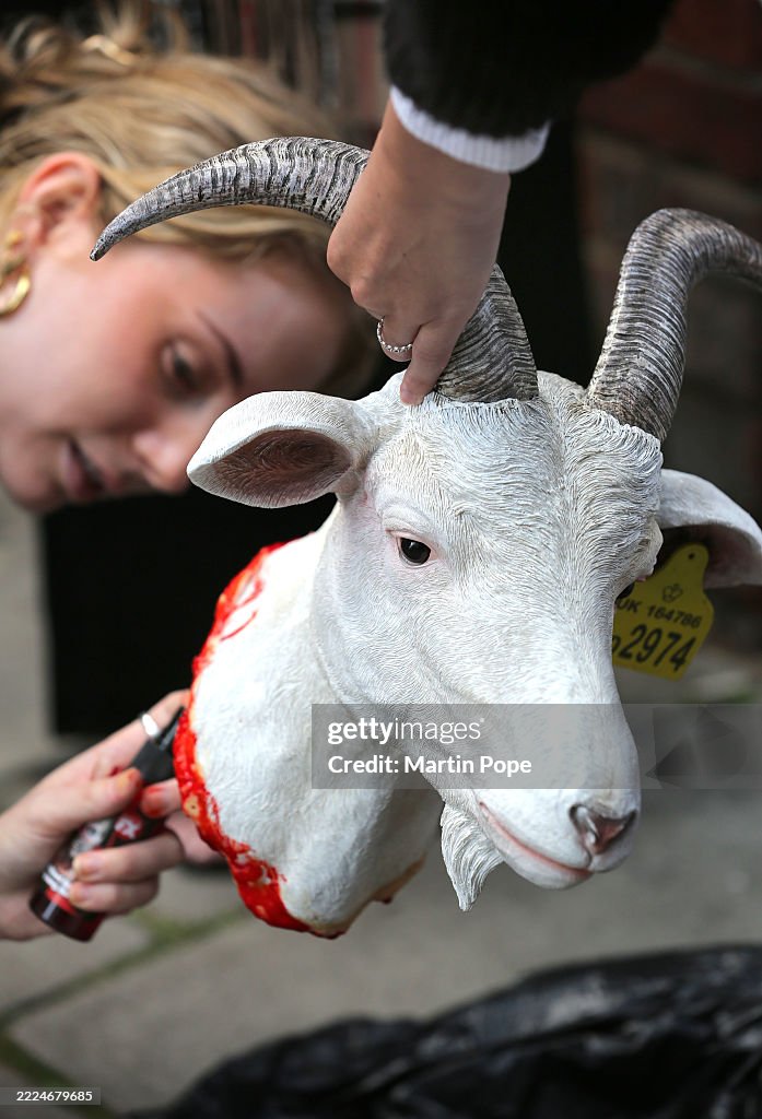 PETA Protest Against Burberry Using Cashmere