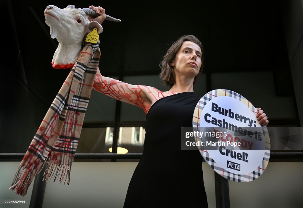 PETA Protest Against Burberry Using Cashmere