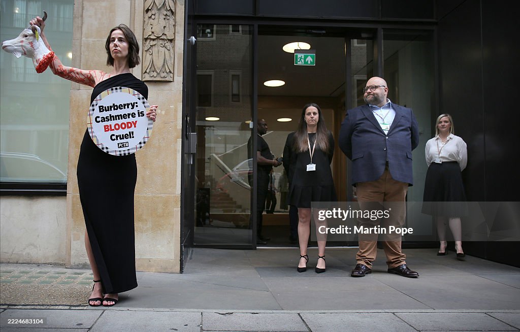 PETA Protest Against Burberry Using Cashmere