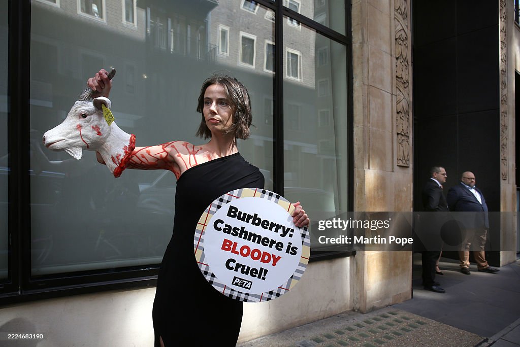 PETA Protest Against Burberry Using Cashmere