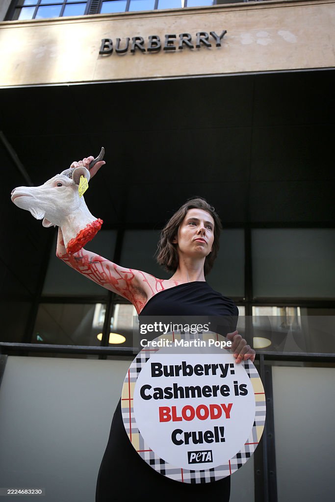 PETA Protest Against Burberry Using Cashmere