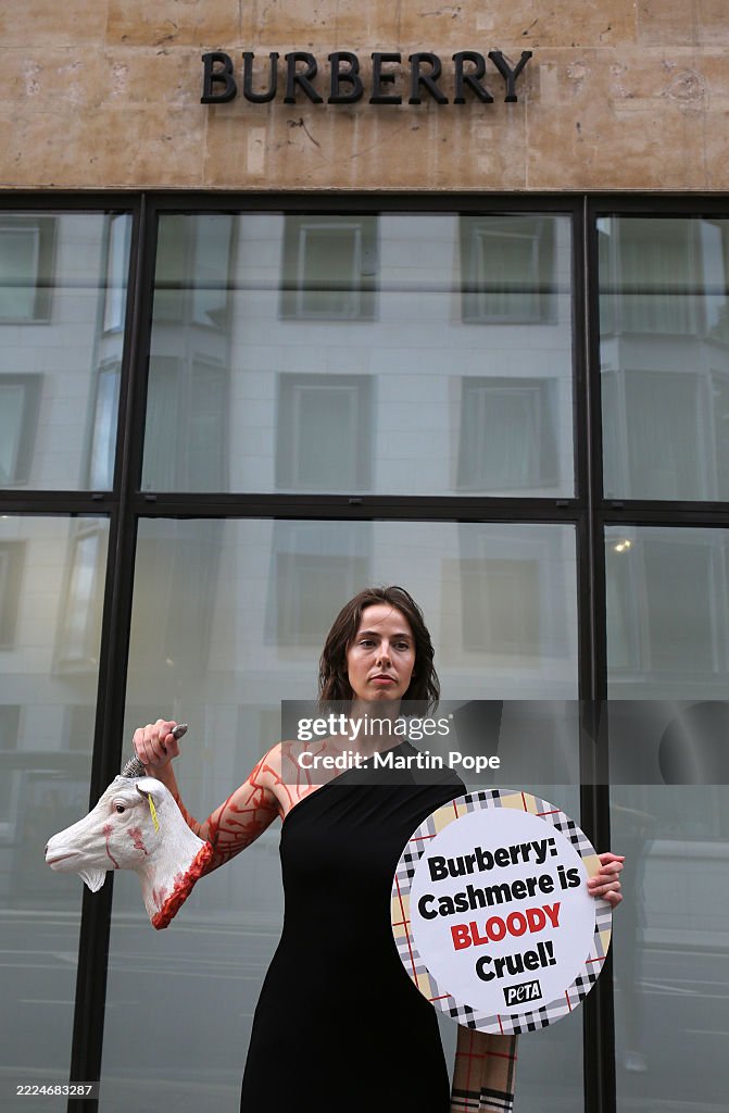PETA Protest Against Burberry Using Cashmere