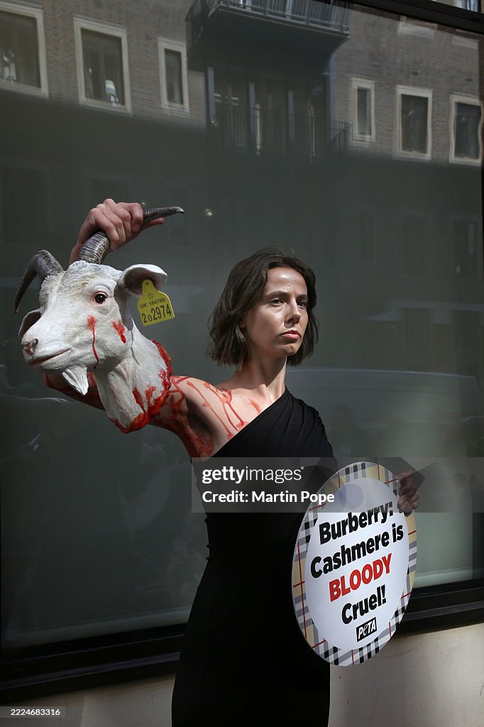 PETA Protest Against Burberry Using Cashmere