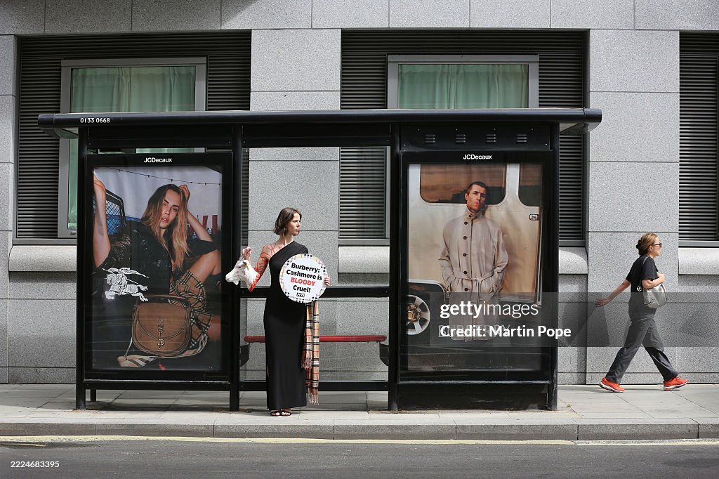 PETA Protest Against Burberry Using Cashmere