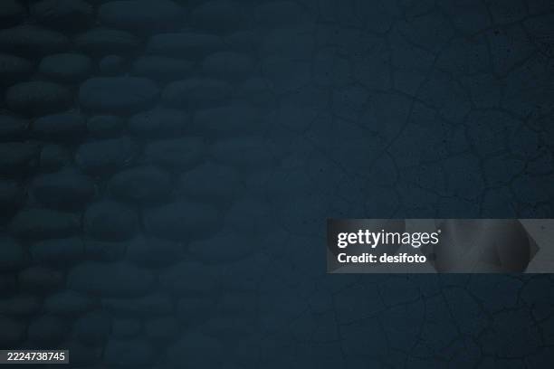 blank textured effect grunge rough abstract full frame pattern - crocodile skin stock illustrations