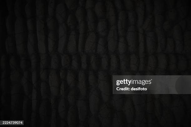 Blank Textured Effect Grunge Rough Abstract Full Frame Pattern Of ...