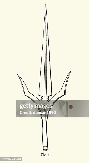 Magical Ranseur History Of Weapons Ranseur Blade 15th Century A Type Of European ...