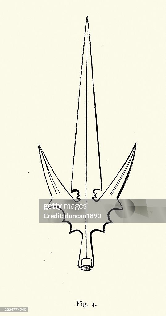 Magical Ranseur History Of Weapons Ranseur Blade 15th Century A Type Of European ...
