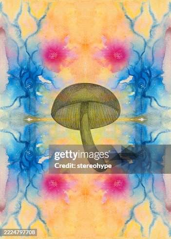 Mushroom static Mushroom static