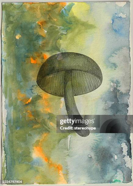 mushroom forest - cloudy sky trees stock illustrations