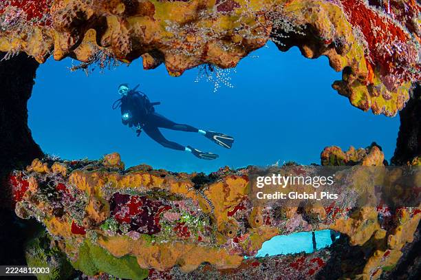 exploring a shipwreck in the caribbean sea - cayman islands stock pictures, royalty-free photos & images