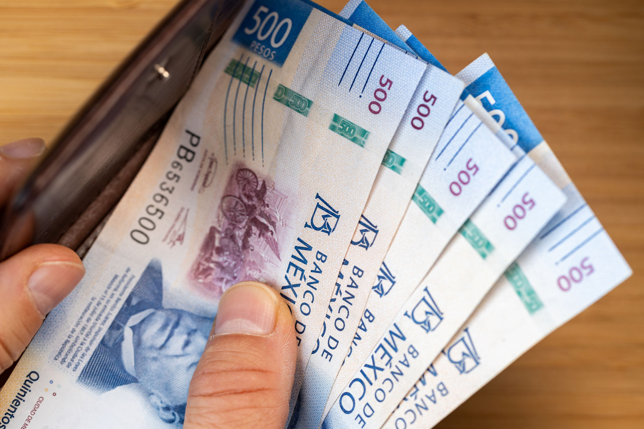 mexican insurance cost