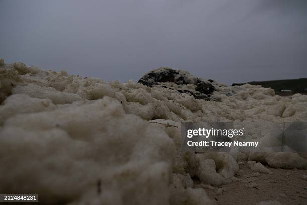 Toxic algal blooms onto the beach near where a dead dolphin was found at Carrickalinga Beach on July 13, 2025 in Carricklinga on the Fleurieu...