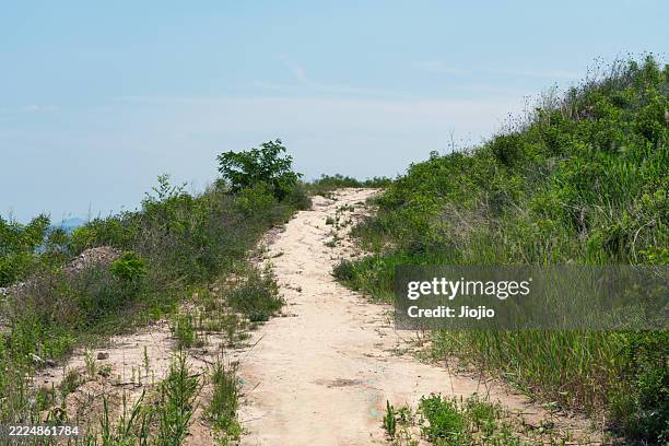 Marsden Sand Ramps 715 Sand Ramp Stock Photos, High-Res Pictures, and Images - Getty Images