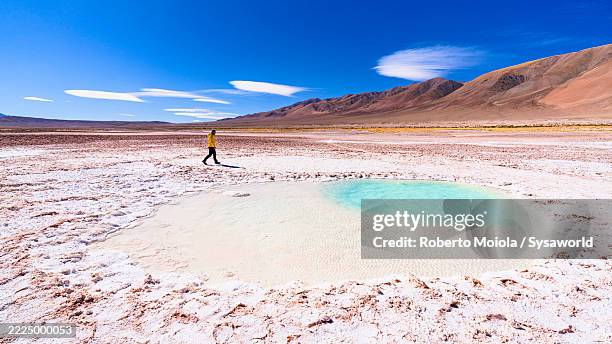 man exploring a salt flat pond, argentina - salt flat stock pictures, royalty-free photos & images