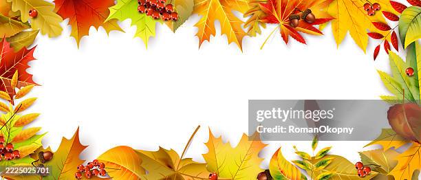 autumn themed frame with fallen leaves and replaceable background. - leaf pattern background stock illustrations