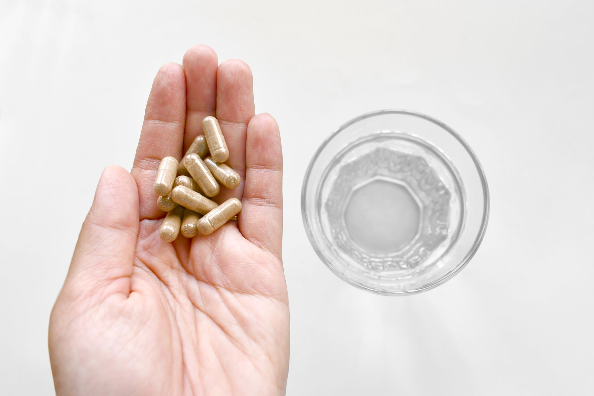 science nutrition