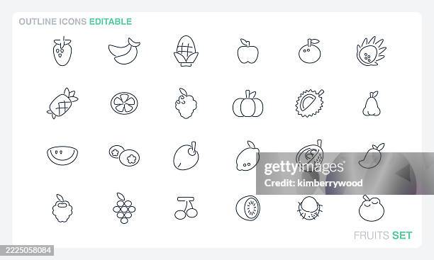 fruits - jackfruit stock illustrations