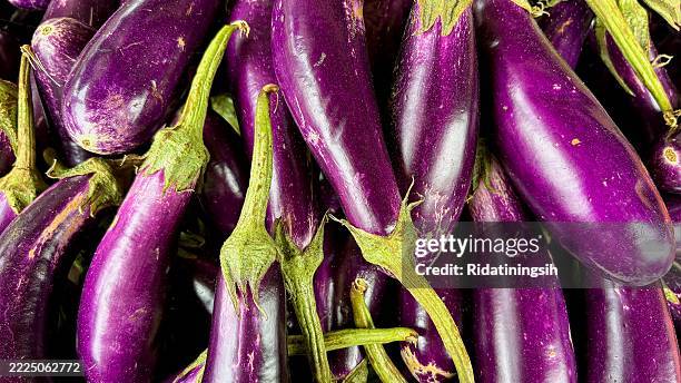 fresh purple eggplants piled together, perfect for organic food, vegetable market, and healthy eating themes - aubergine stock pictures, royalty-free photos & images