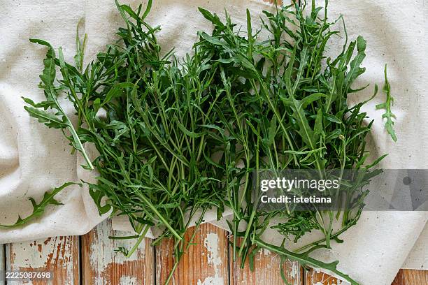 raw organic arugula viewed from above - roquette photos et images de collection