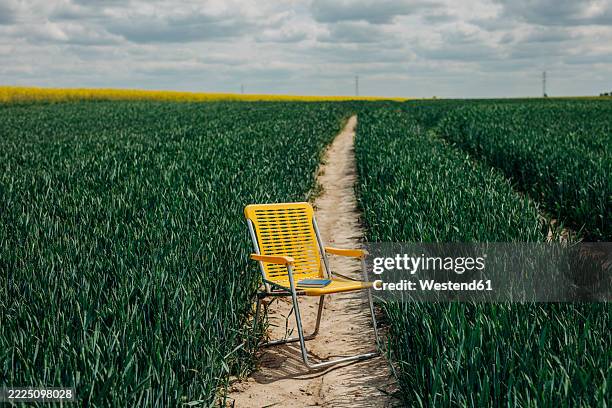 yellow folding chair and blue book in a wheat field during spring - folding chair stock pictures, royalty-free photos & images