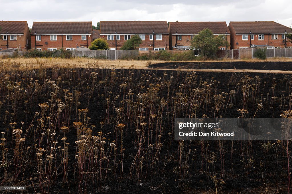 Dagenham Wildfire Leaves Park Land Scorched