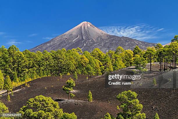 mount teide crater in teide national park, tenerife, canary islands, spain - dormant volcano stock pictures, royalty-free photos & images