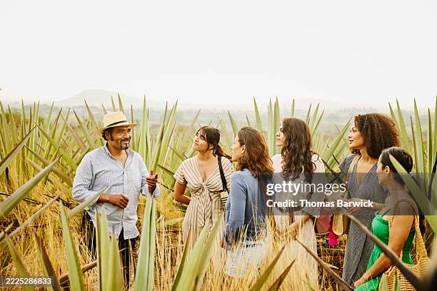 wide shot farmer teaching female tourist about agave harvesting - viaje barato fotografías e imágenes de stock