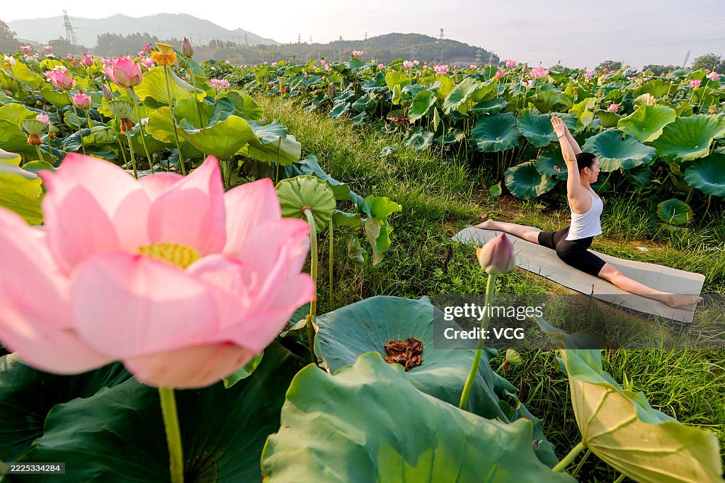 Yoga Enthusiasts Practice Yoga In Lotus Field In Ji'an