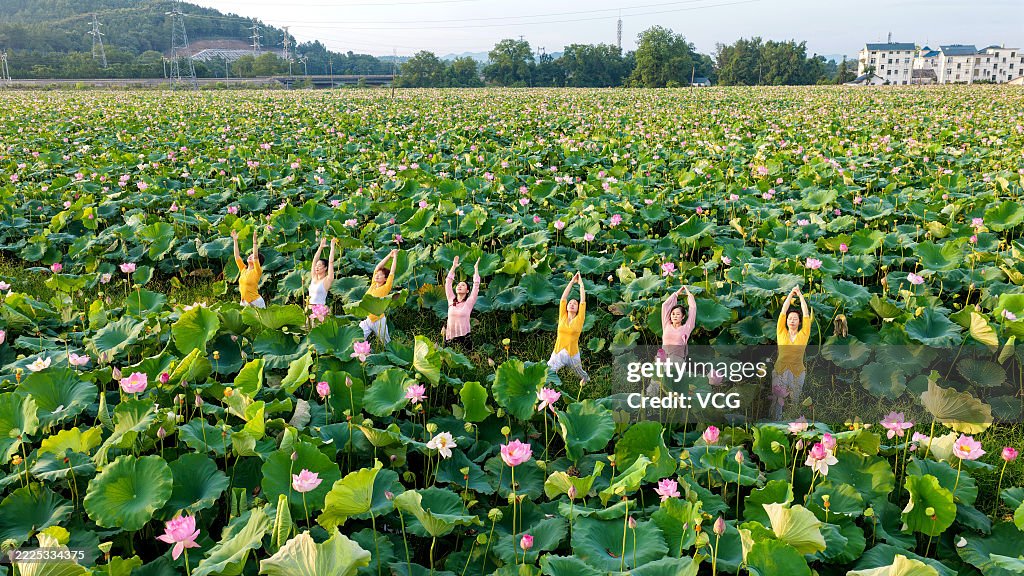 Yoga Enthusiasts Practice Yoga In Lotus Field In Ji'an