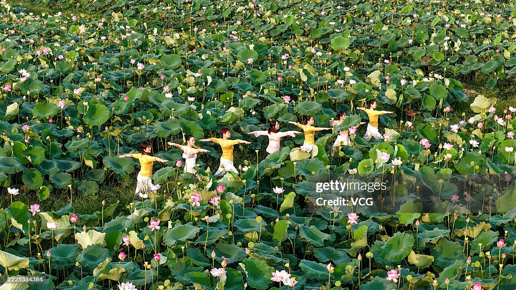 Yoga Enthusiasts Practice Yoga In Lotus Field In Ji'an